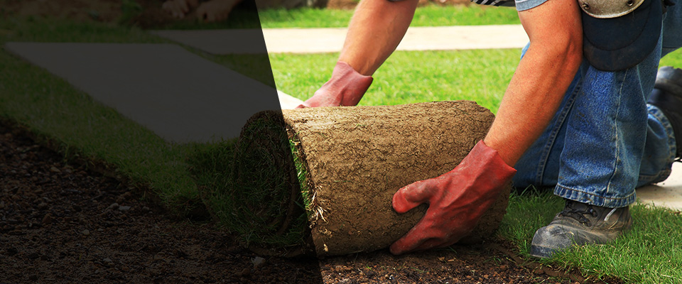 Brookville Landscapers